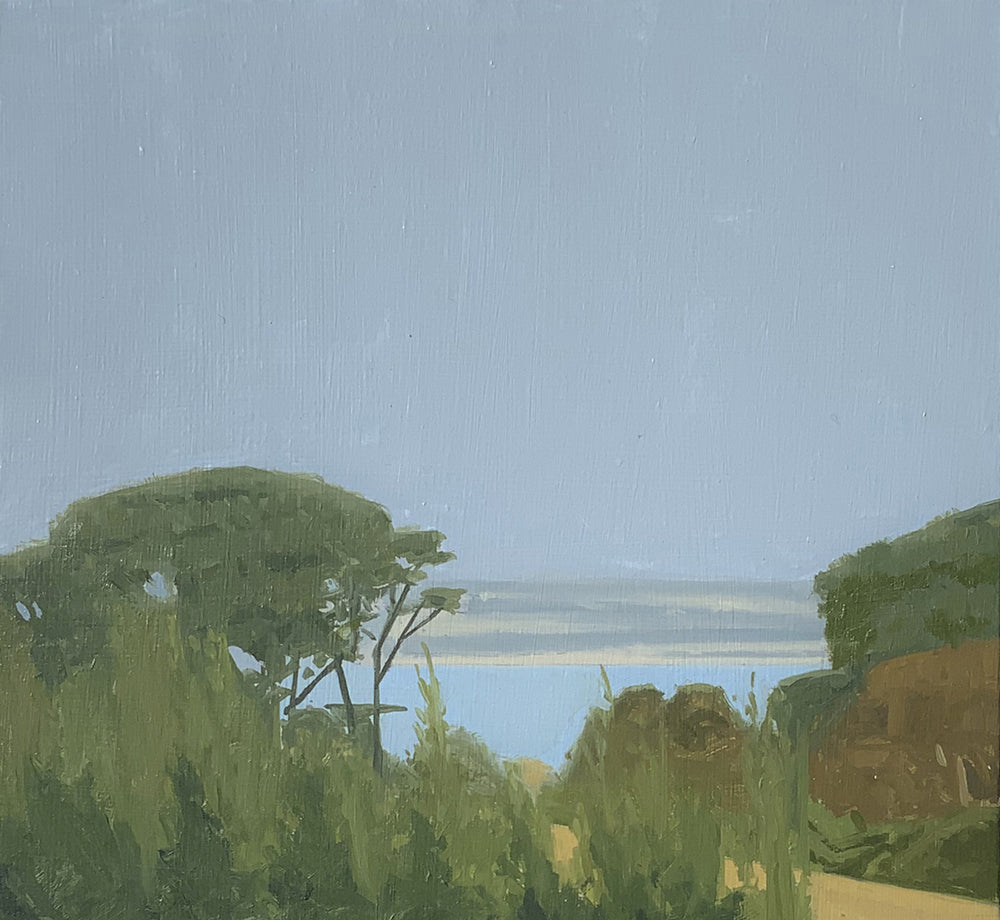 Coastal Landscape 5