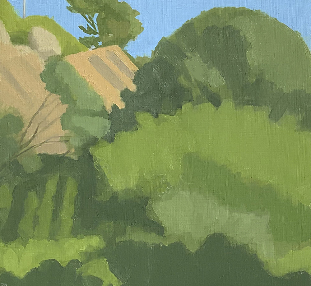 Coastal Landscape 6