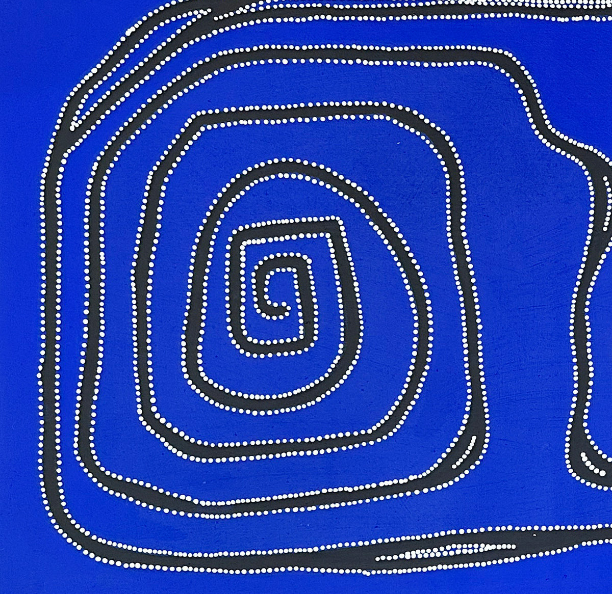 Yarla Jukurrpa (Bush Potato Dreaming) 7894-23