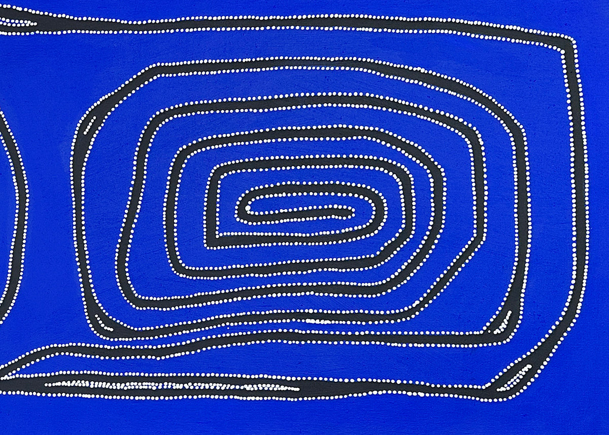 Yarla Jukurrpa (Bush Potato Dreaming) 7894-23