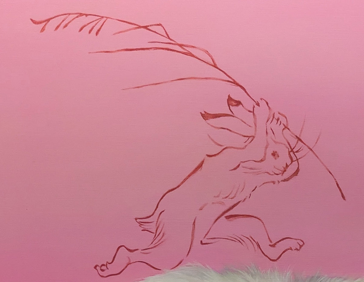 Study of a rabbit