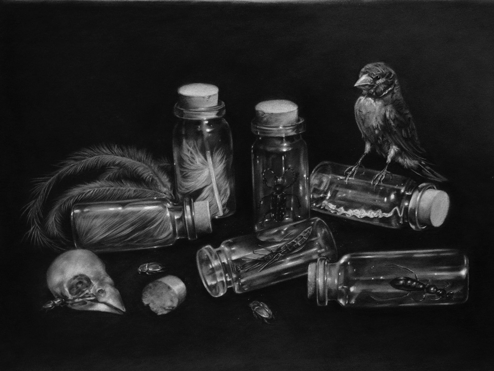 Untitled (Still Life)