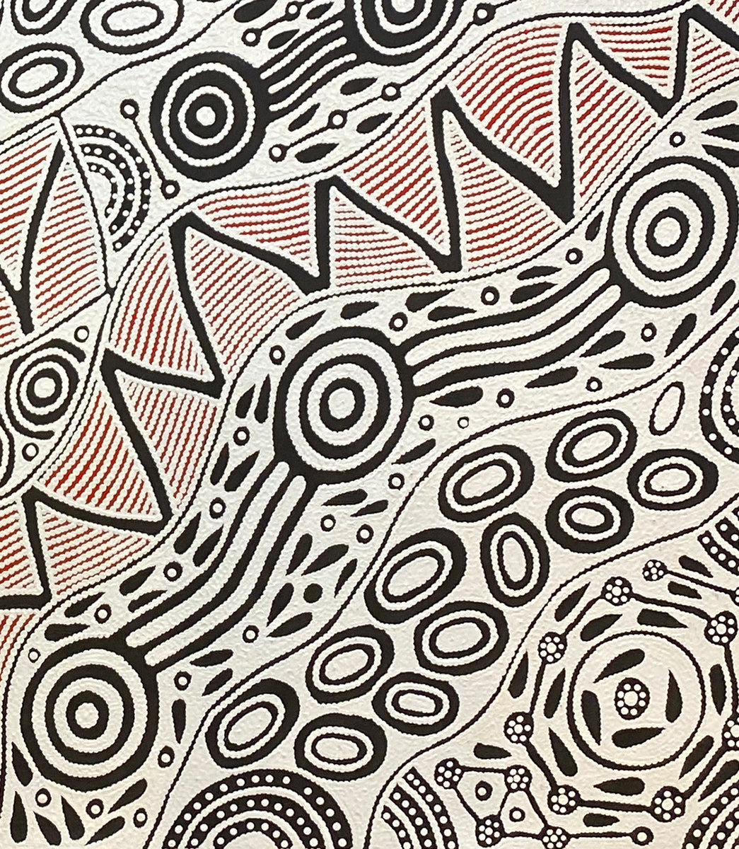 Pikilyi Jukurrpa (Vaughan Springs Dreaming) 573-24ny