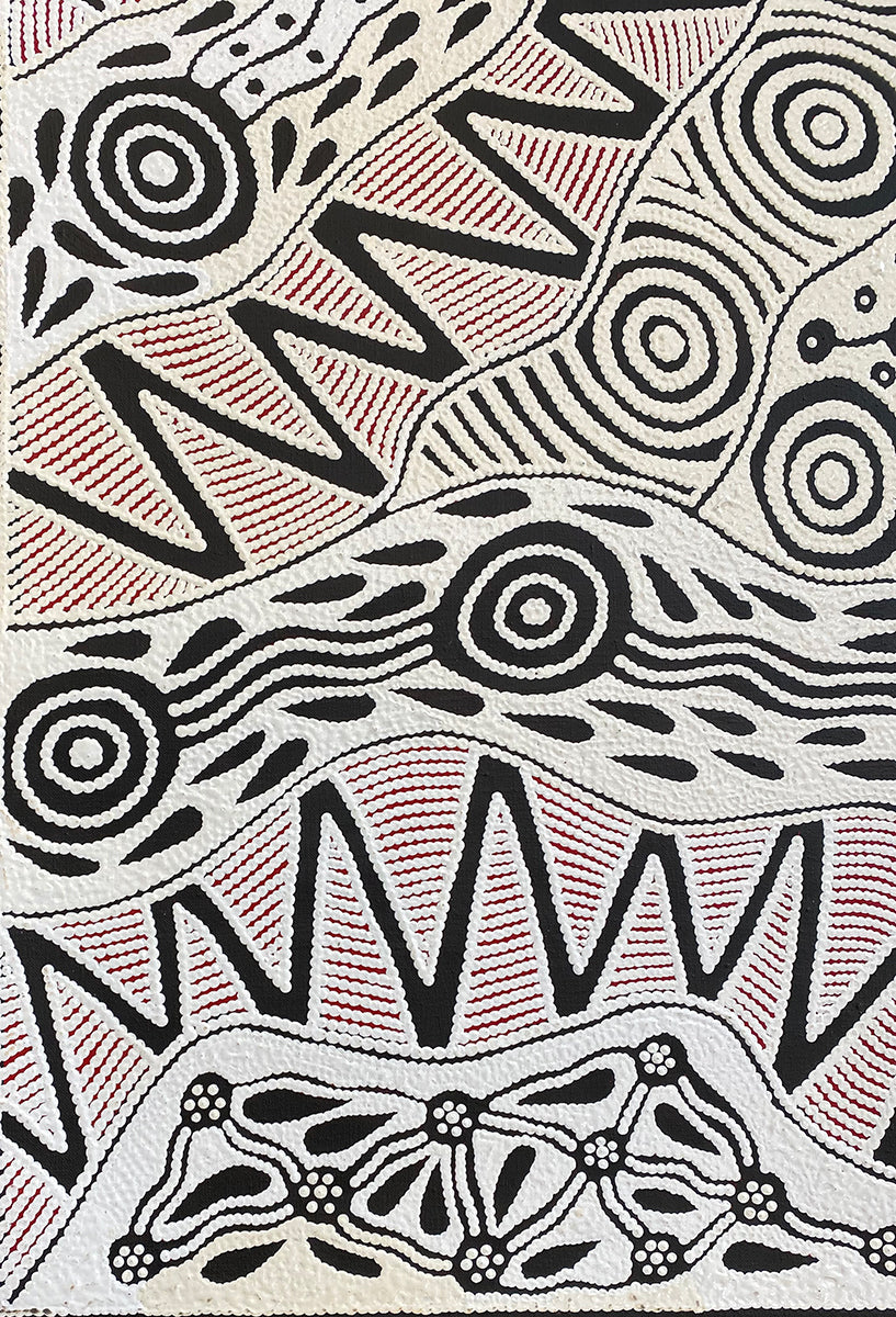 Pikilyi Jukurrpa (Vaughan Springs Dreaming) 115/22ny