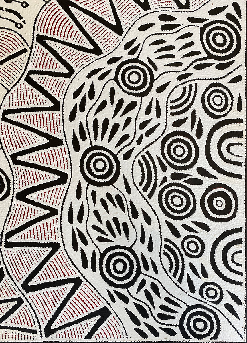Pikilyi Jukurrpa (Vaughan Springs Dreaming) 115/22ny