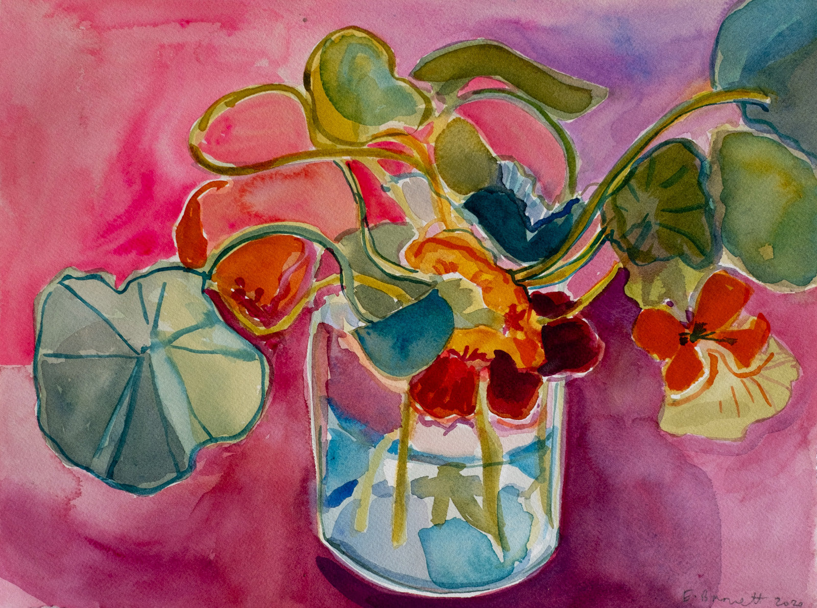 Nasturtiums on Pink