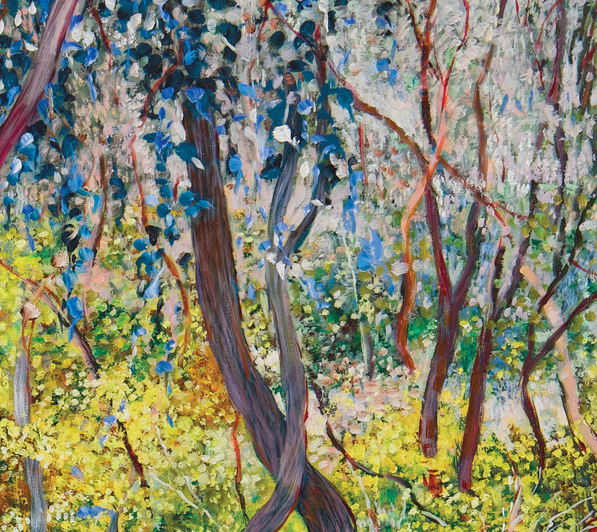 Glow no.2 (Wattles in Bushland)