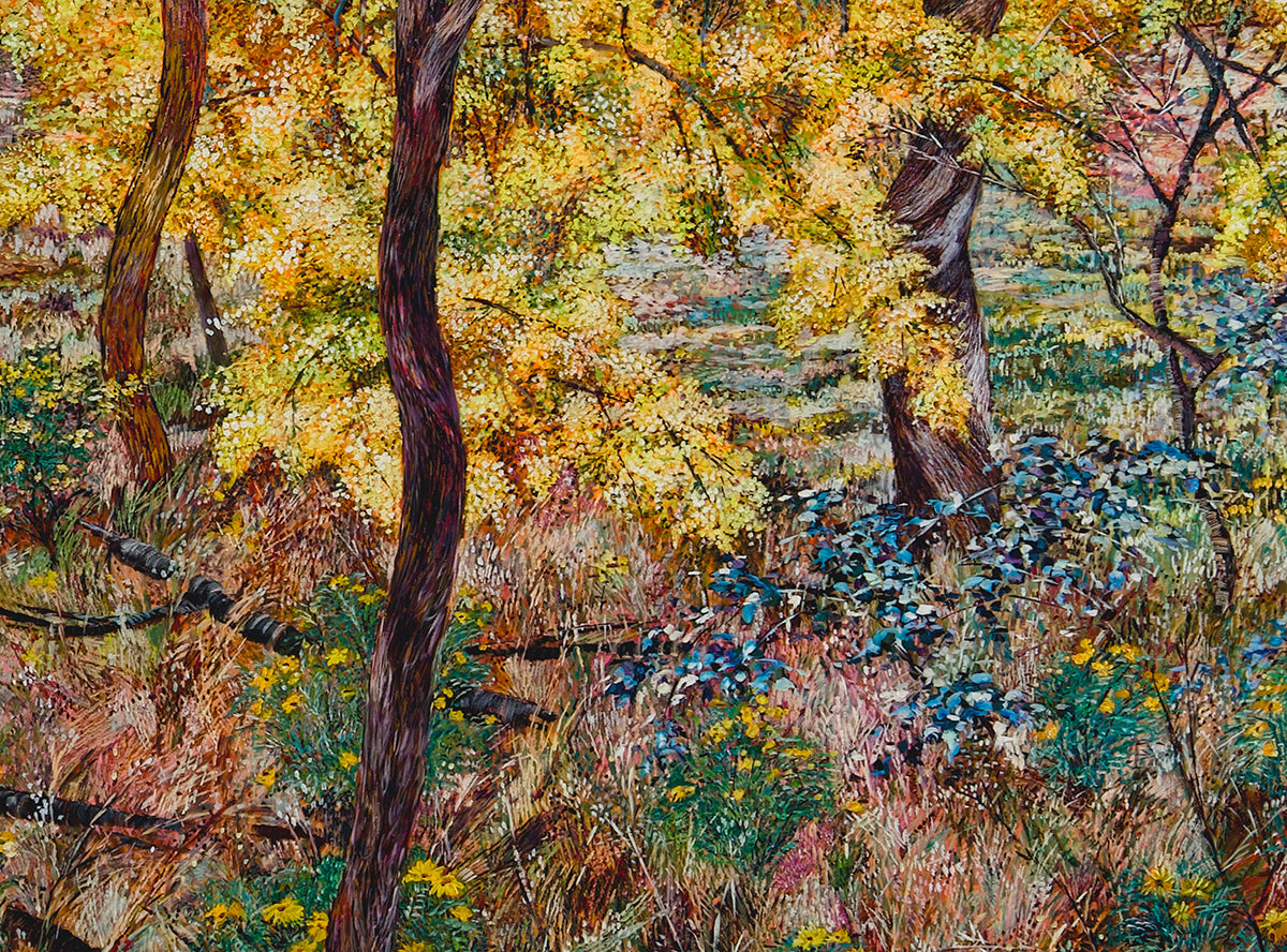 Glow no.5 (Wattles in Bushland)
