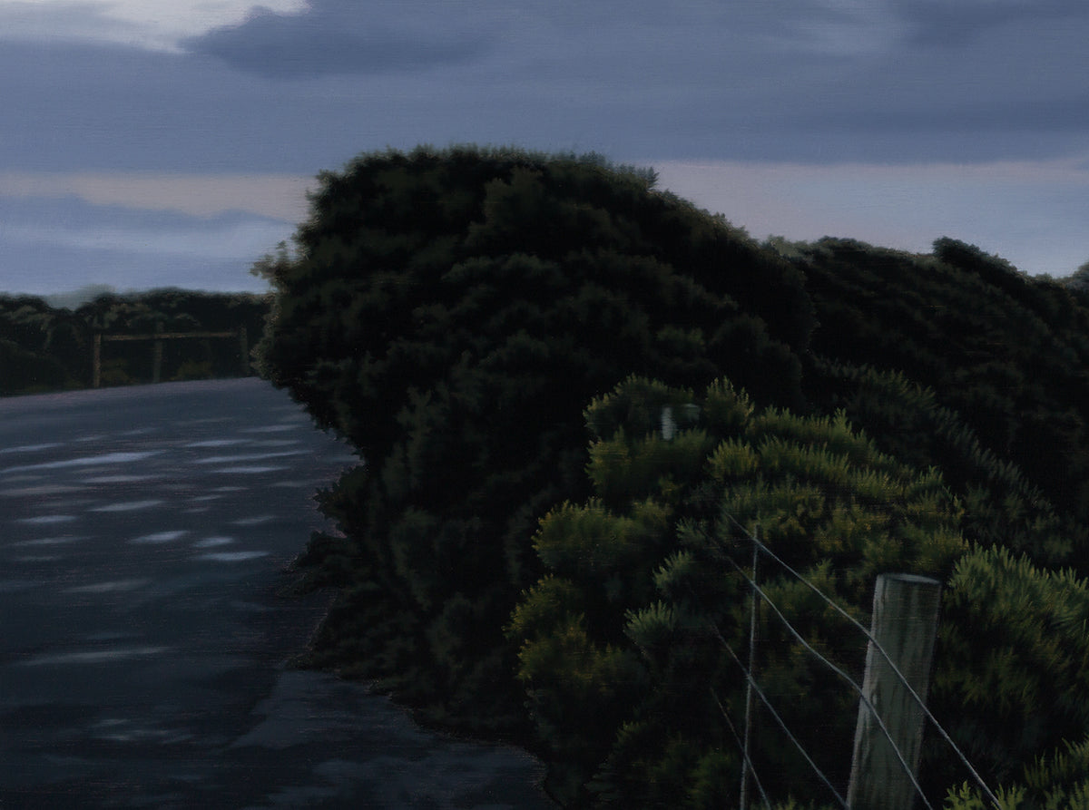 Dawn Blairgowrie Carpark