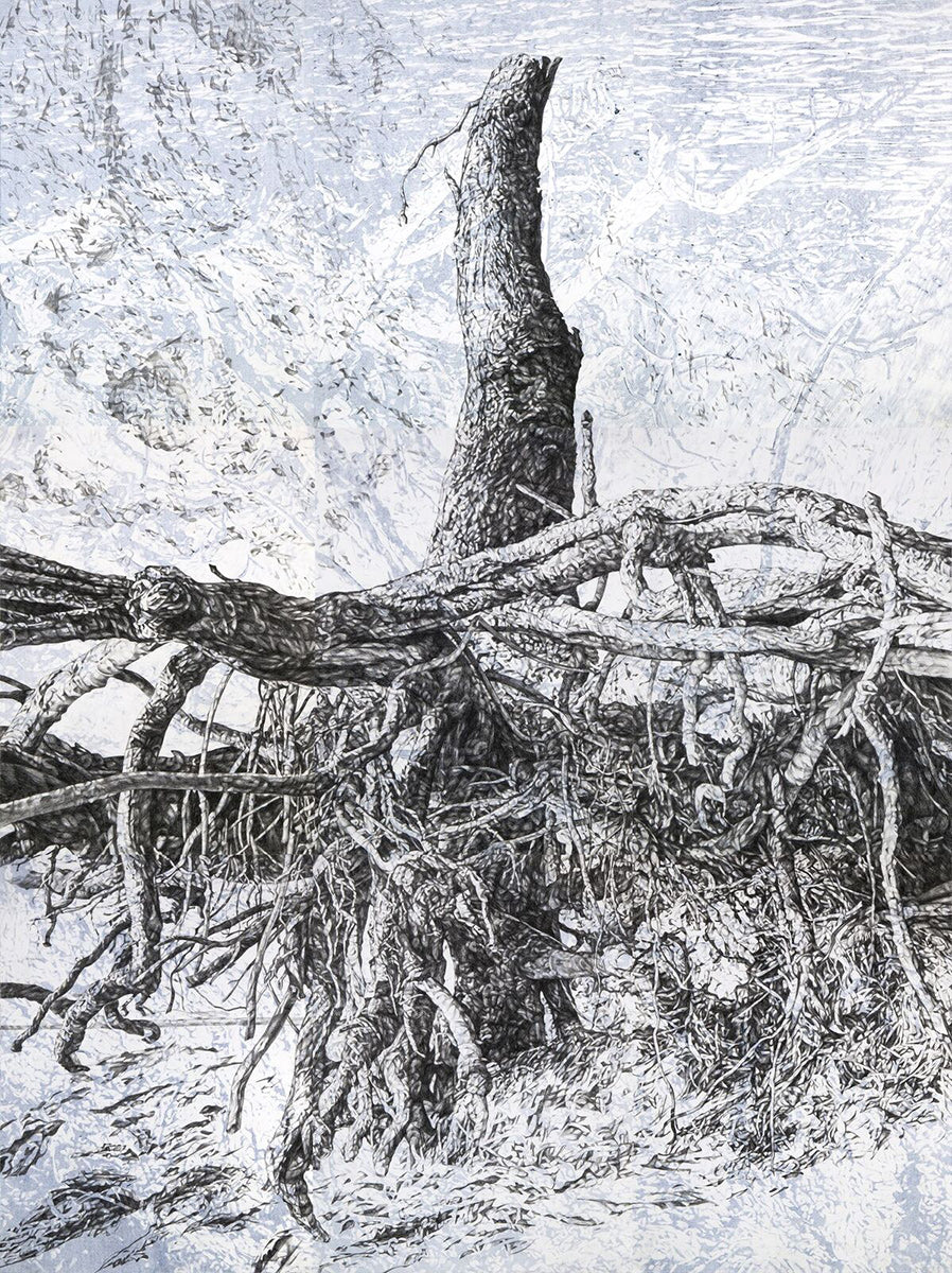 Verge II