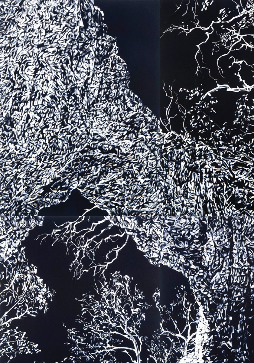 Chasm III