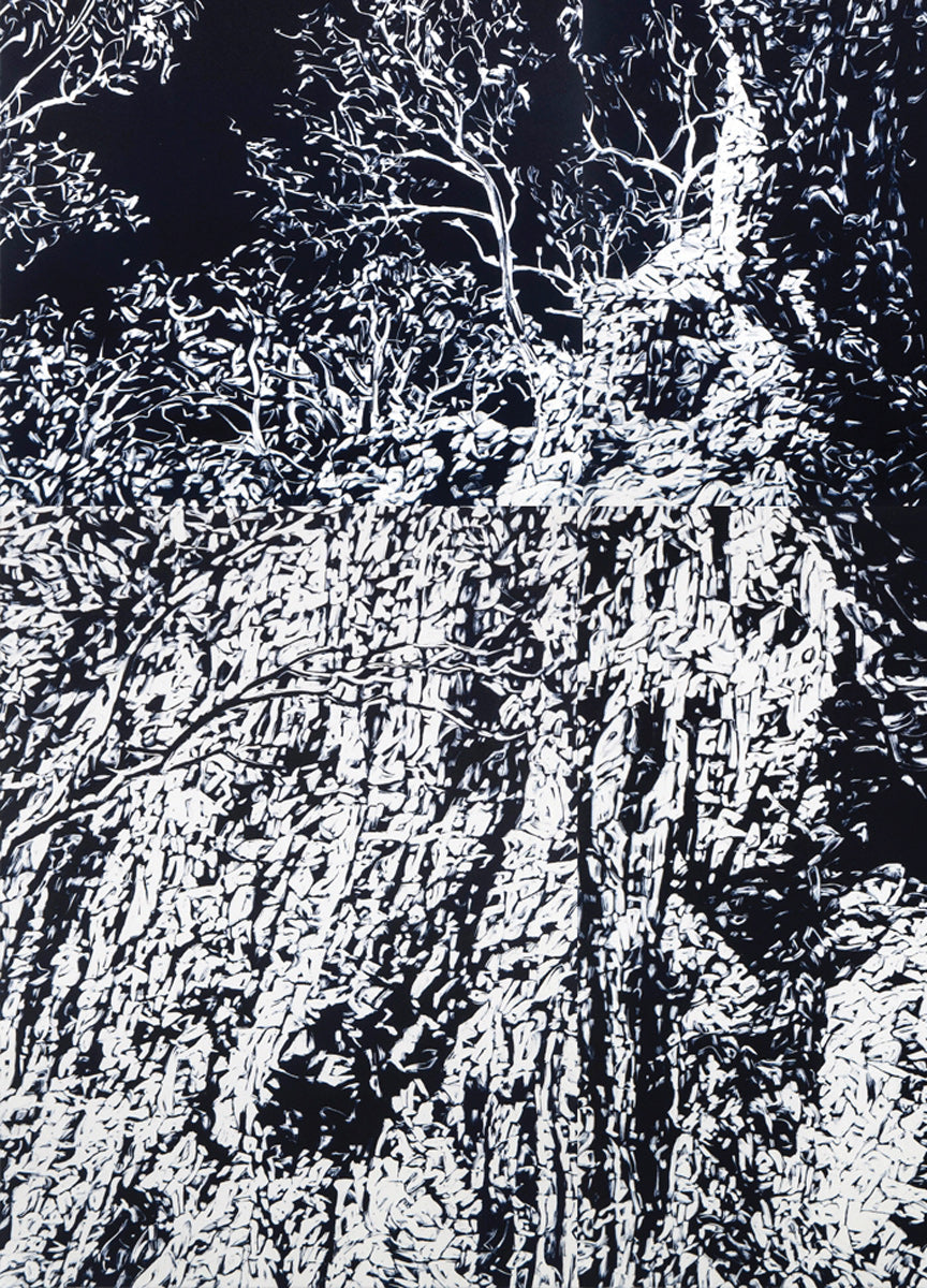 Chasm III