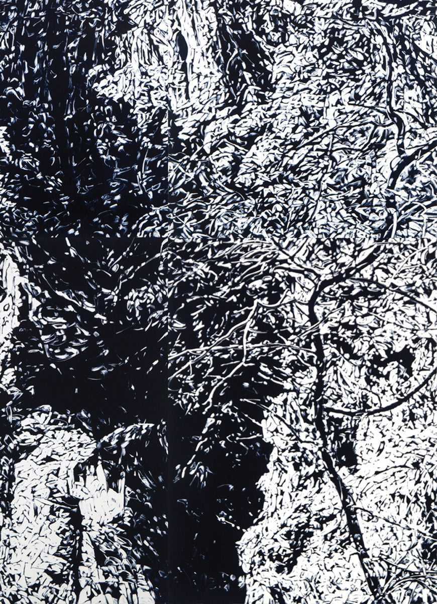 Chasm III