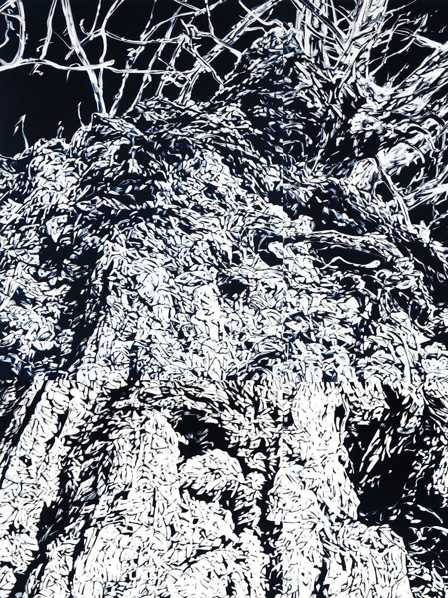 Chasm IV