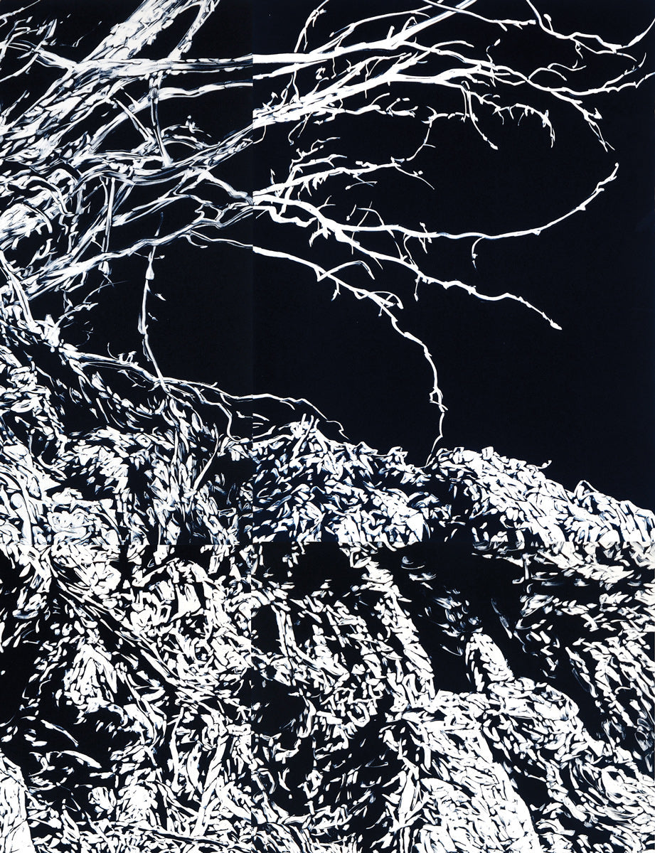 Chasm IV