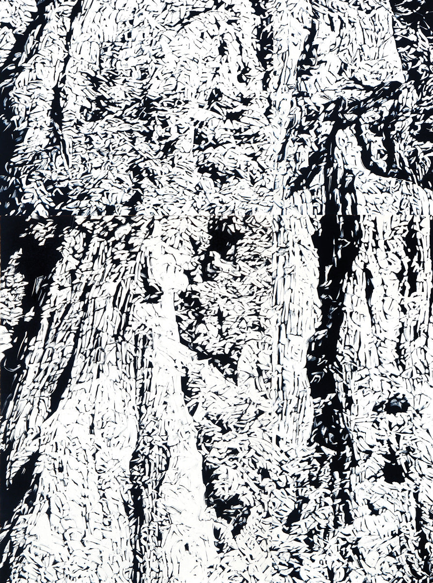 Chasm IV