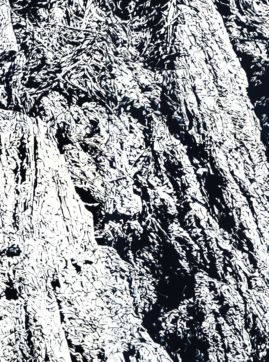 Chasm IV