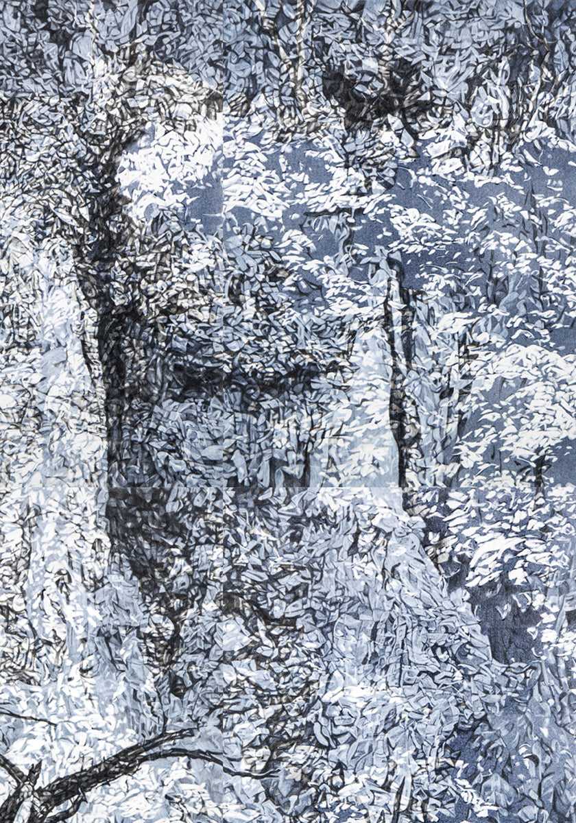 Ghost II