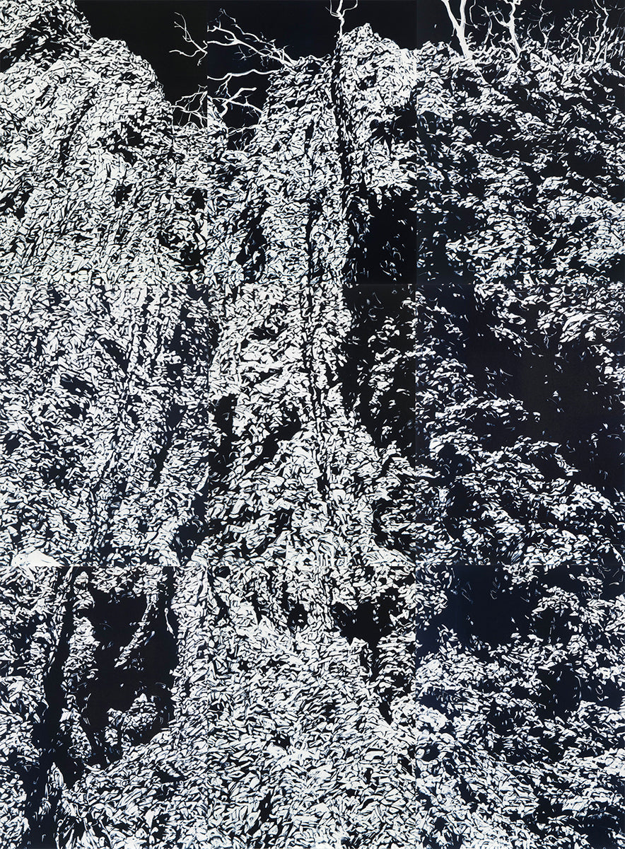Chasm I