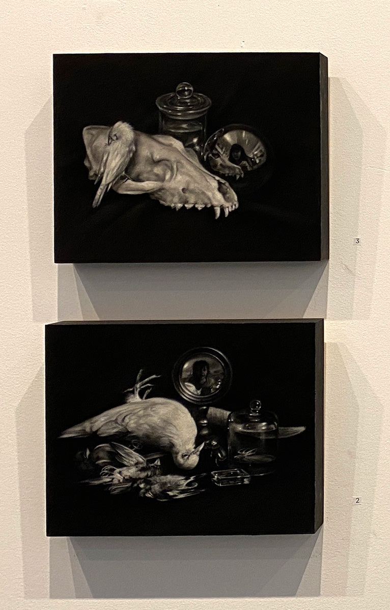 Still Life Study 1